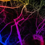 Brain rewiring into a tree representing breaking emotional patterns.