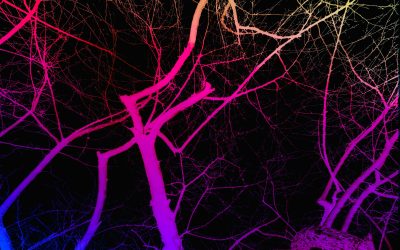 Brain rewiring into a tree representing breaking emotional patterns.