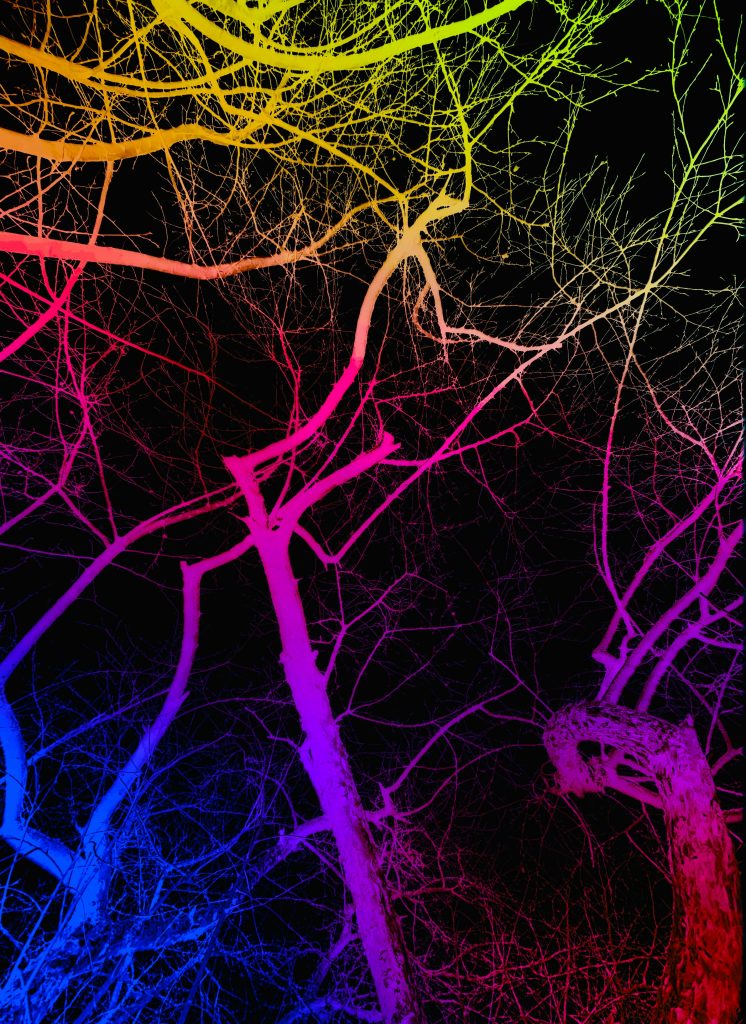 Brain rewiring into a tree representing breaking emotional patterns.