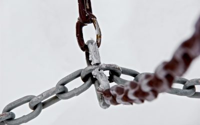 Breaking free from repetitive life cycles