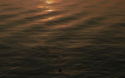 Sunrise symbolizing a morning reset and new beginnings